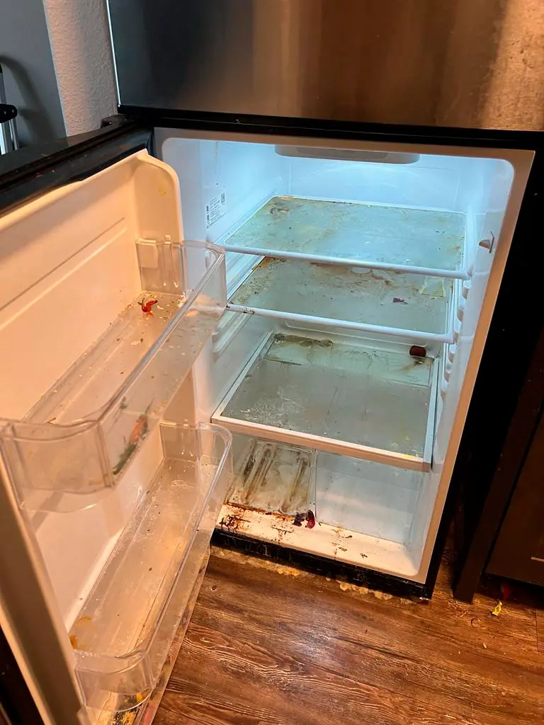 refigerator-dirt refigerator-dirt
